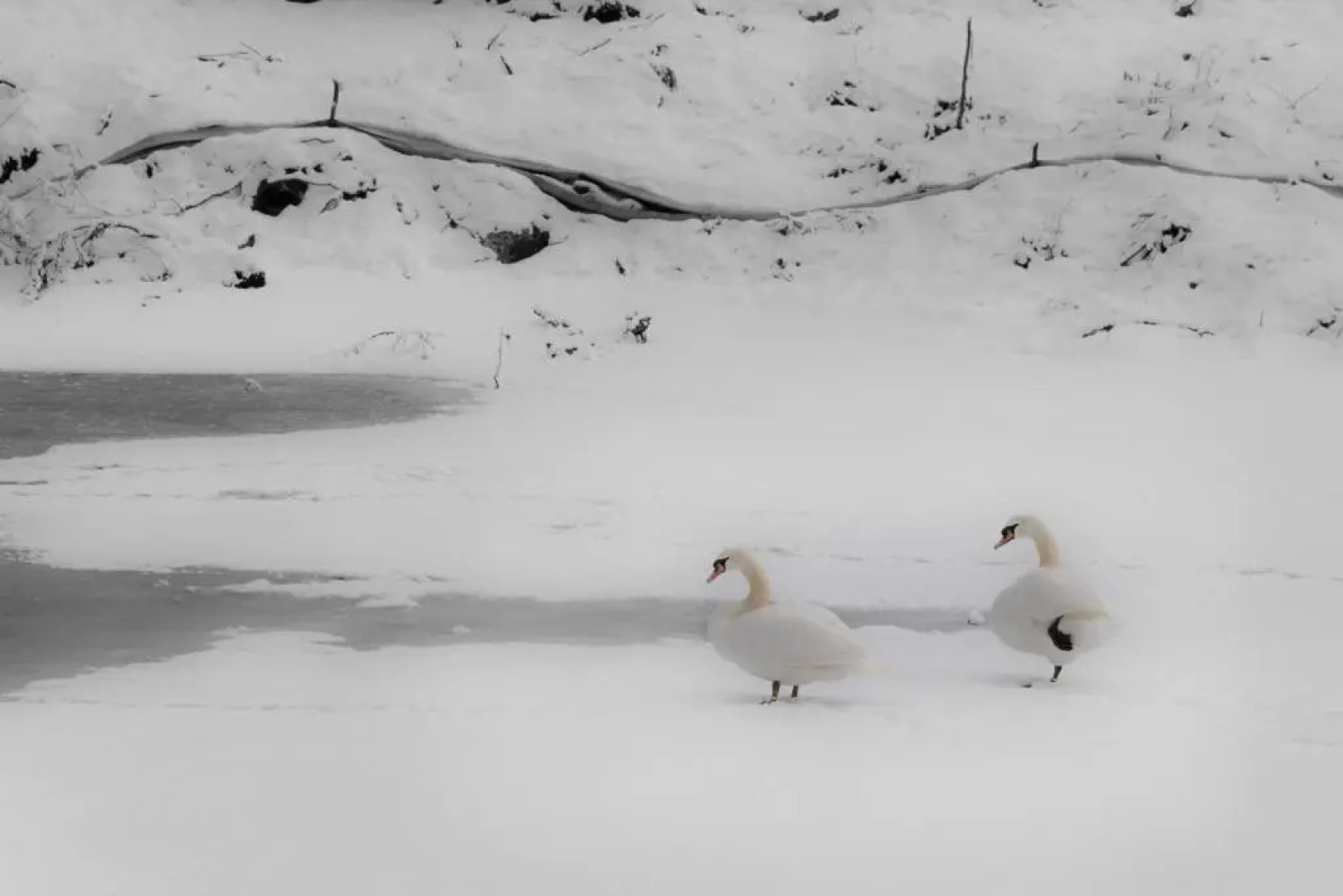 Hotel Lech Da Sompunt