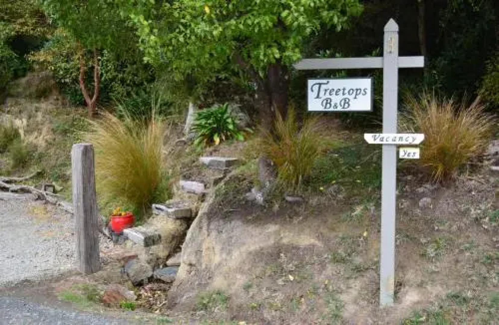 Treetops B&B