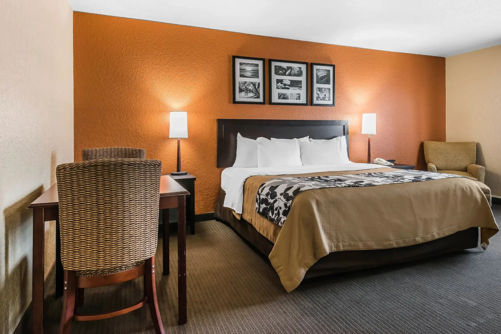 Sleep Inn and Suites - Ocala / Belleview