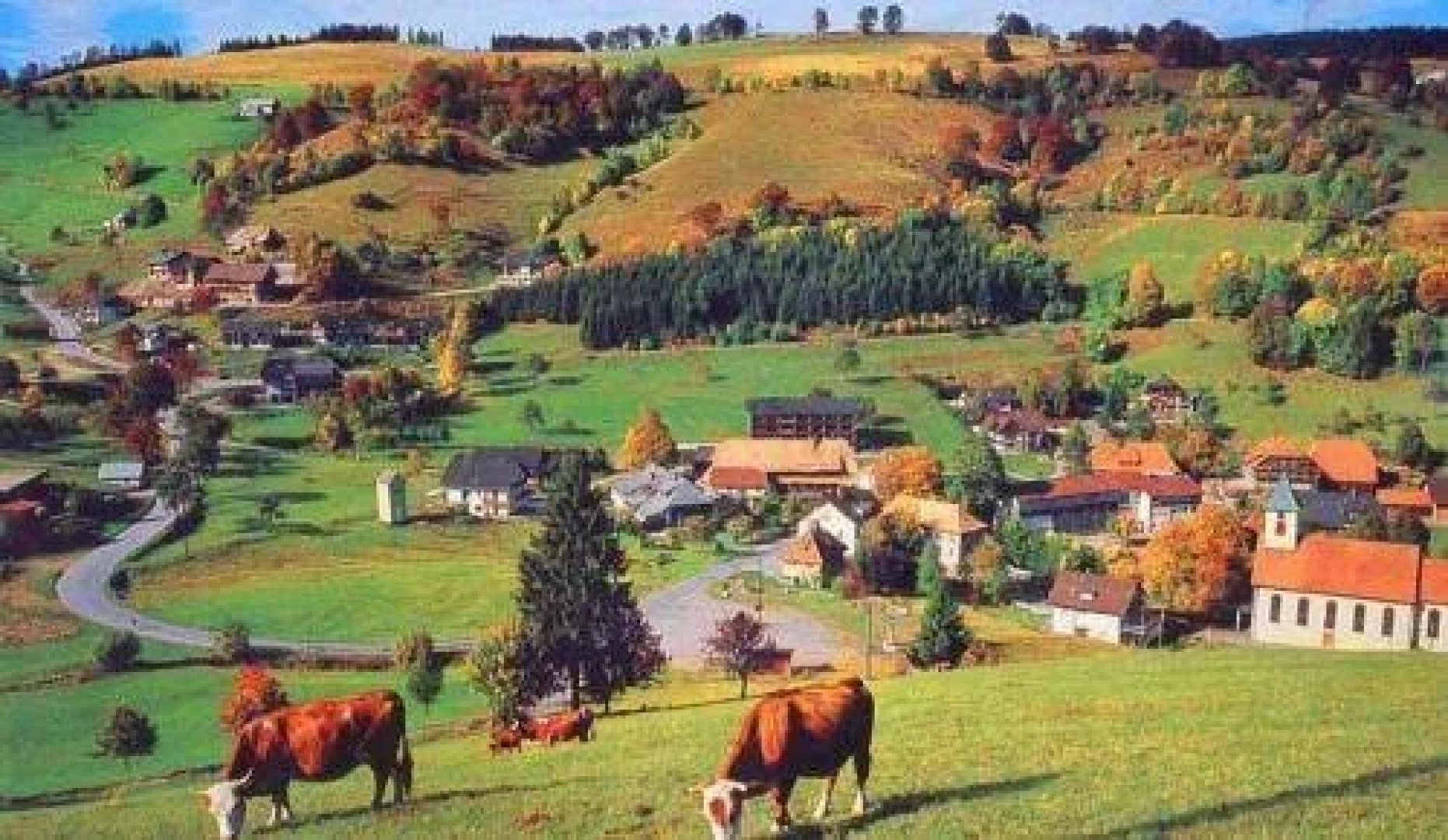 Hotel Gasthof Hirschen