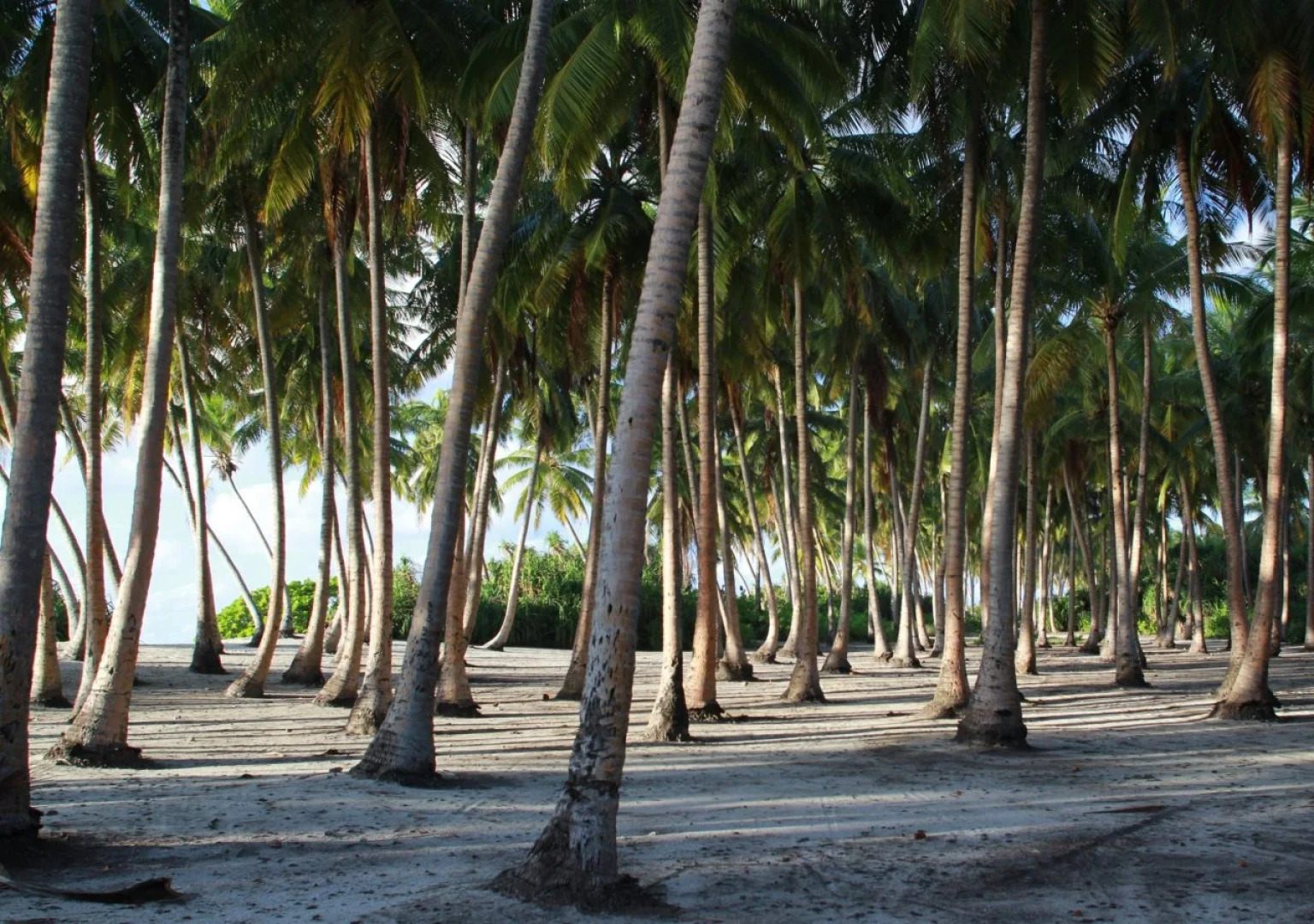 Viluxer Veyli & Diving