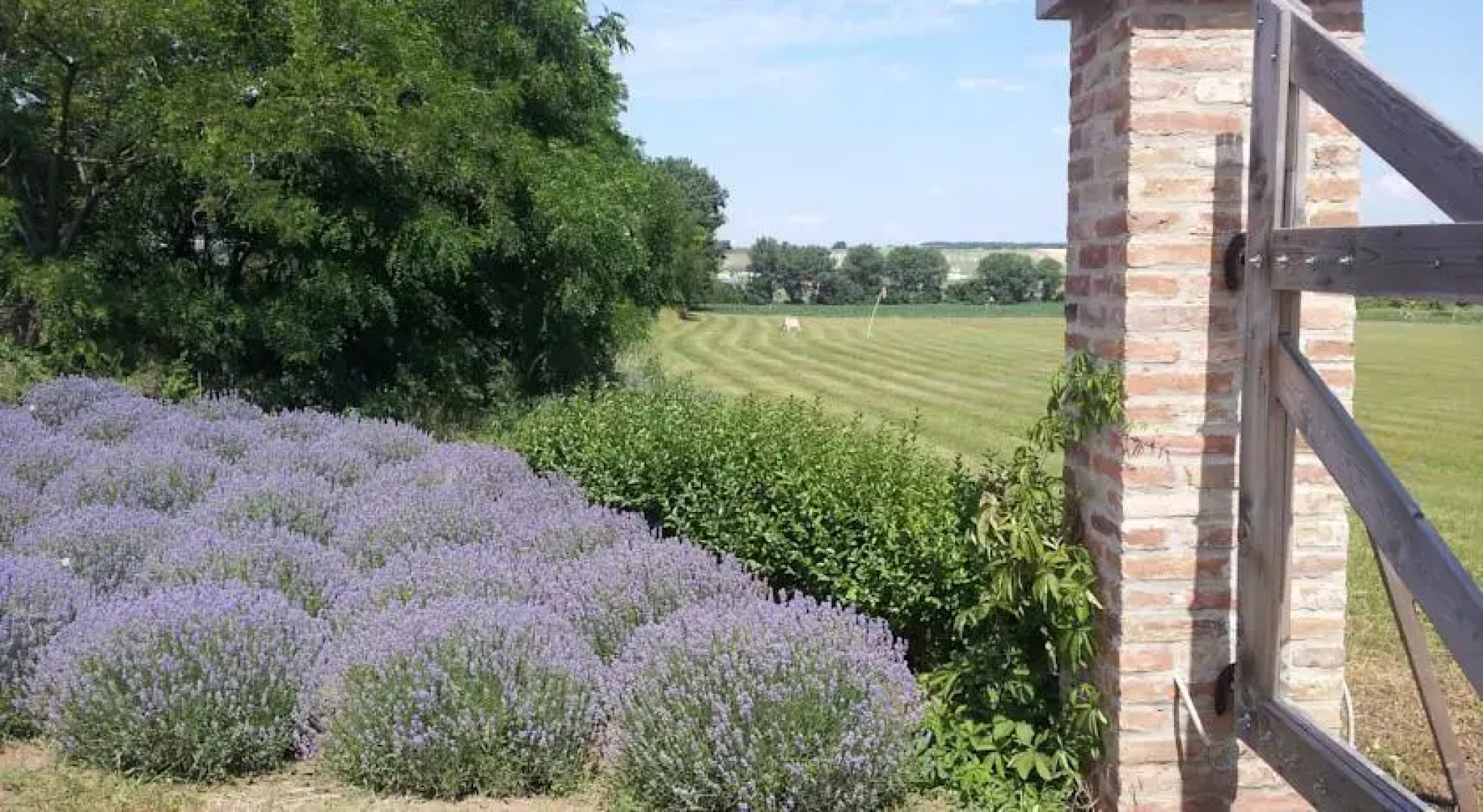 Noll tanya vendégház