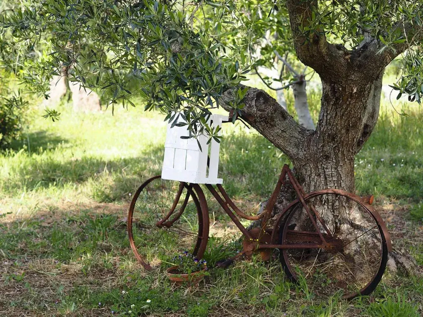 Trullo Sovrano Exclusive B&B