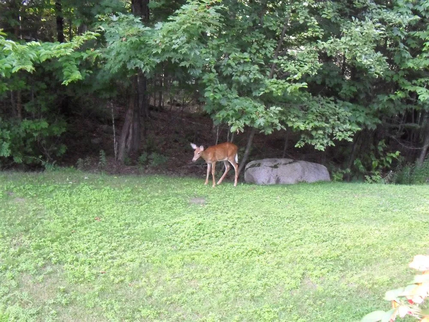 La Chaumiere de l' Anse