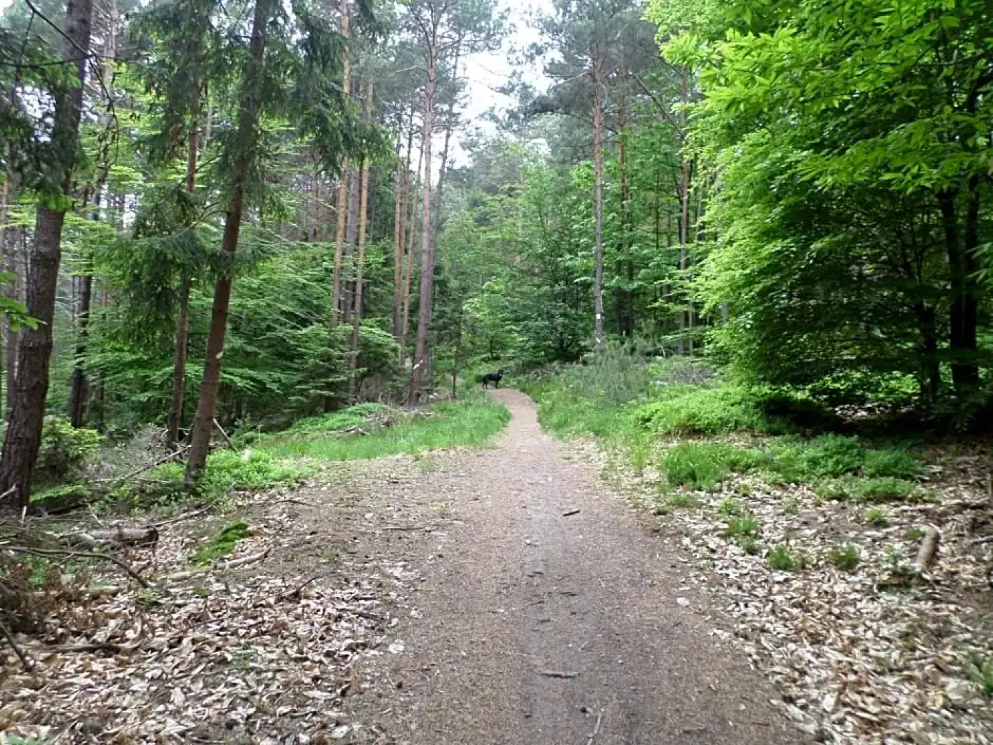 Chambres d'hôtes de la Petite Vallée.