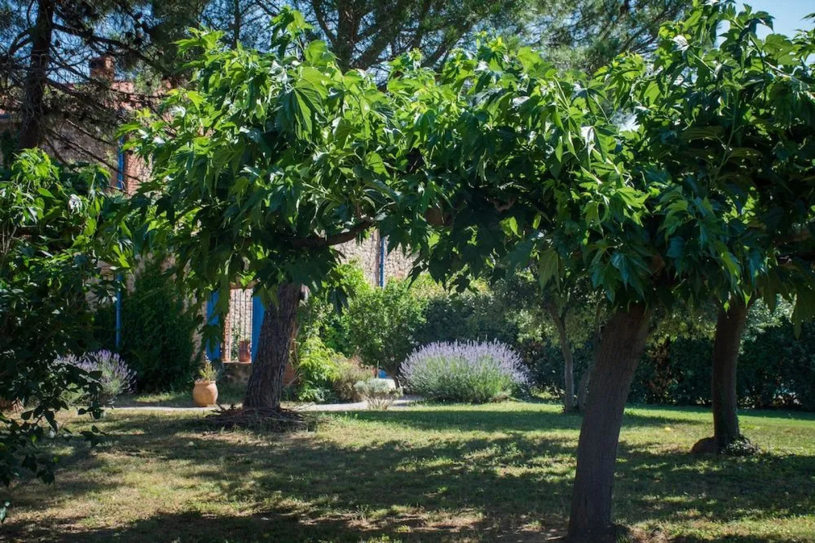 Chambres d'hôtes Ô Parazard