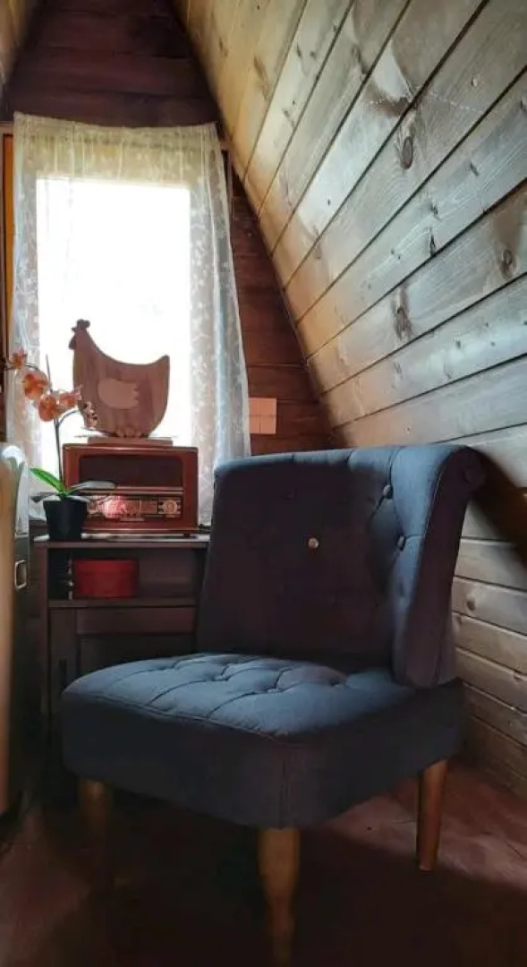 Tiny House in the City