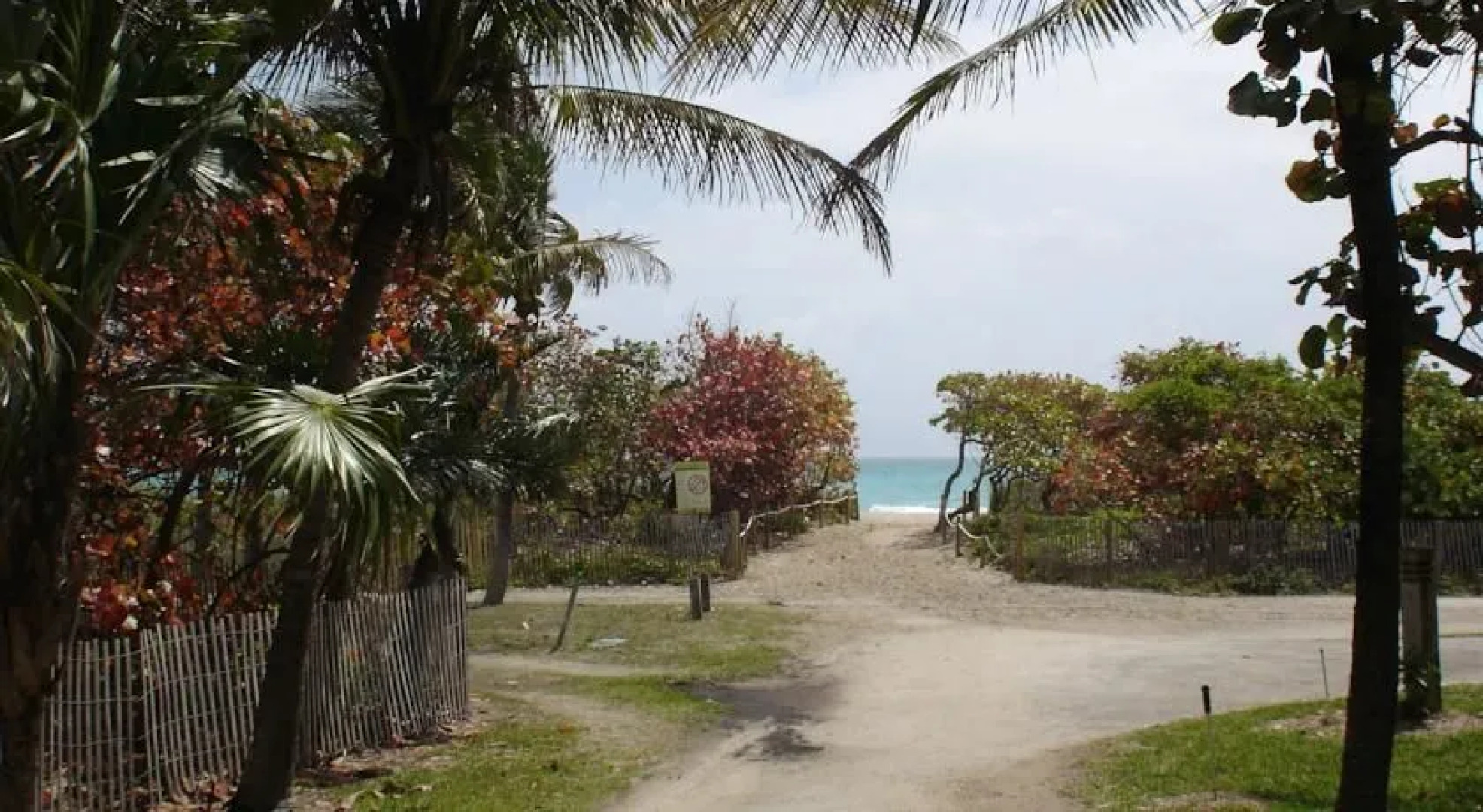 Beach Corner Miami Beach