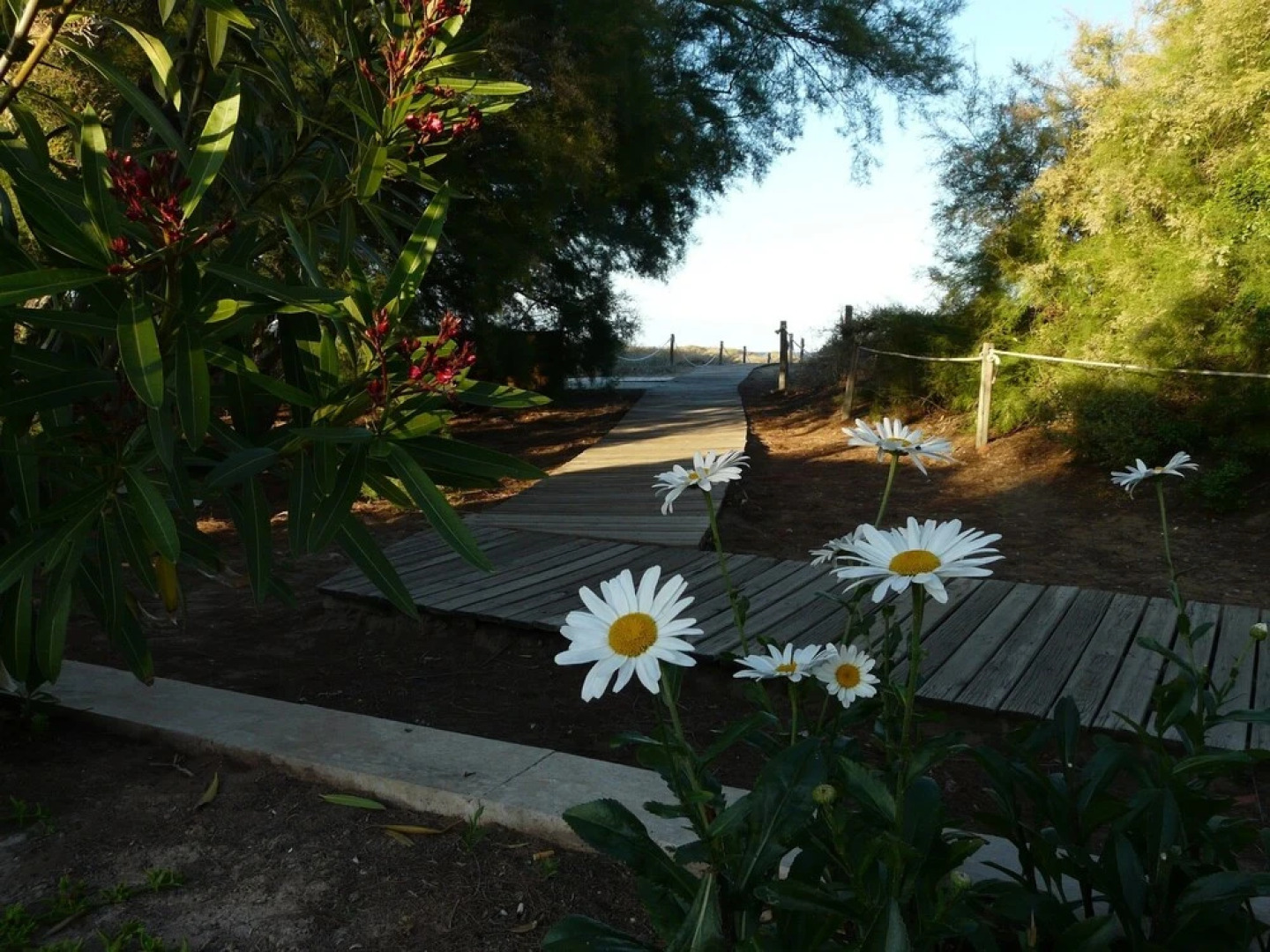 Apartment With 2 Bedrooms in Port de Sagunt, With Wonderful Mountain V