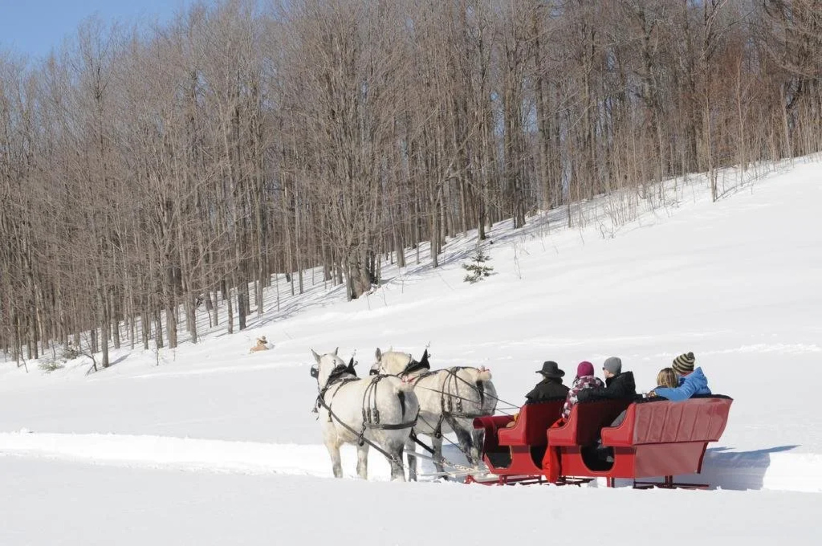 Blue Mountain Resort