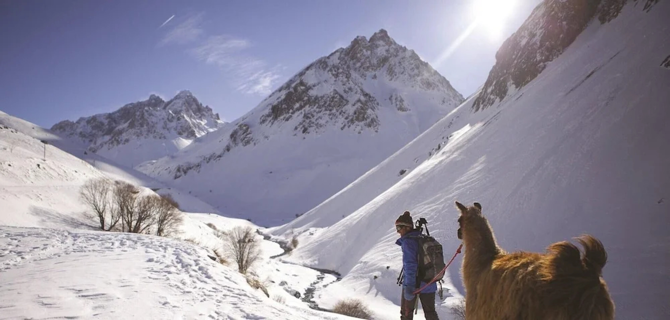 Thymel N°18 : Studio Cabin 3 Personnes / Studio Cabin 3 People