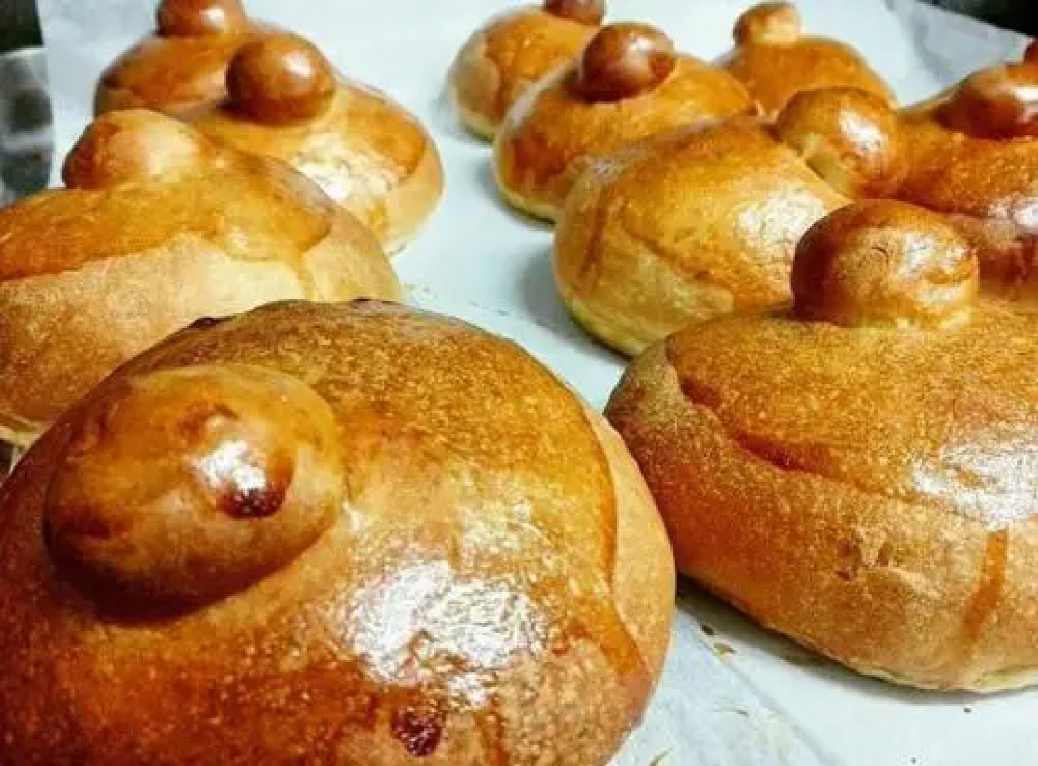 Agriturismo La Casa Di Botro