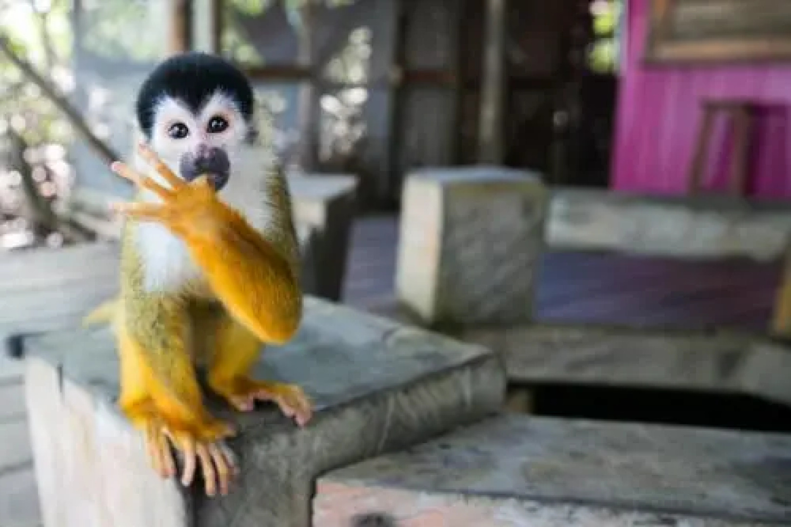 Urraca Private Island