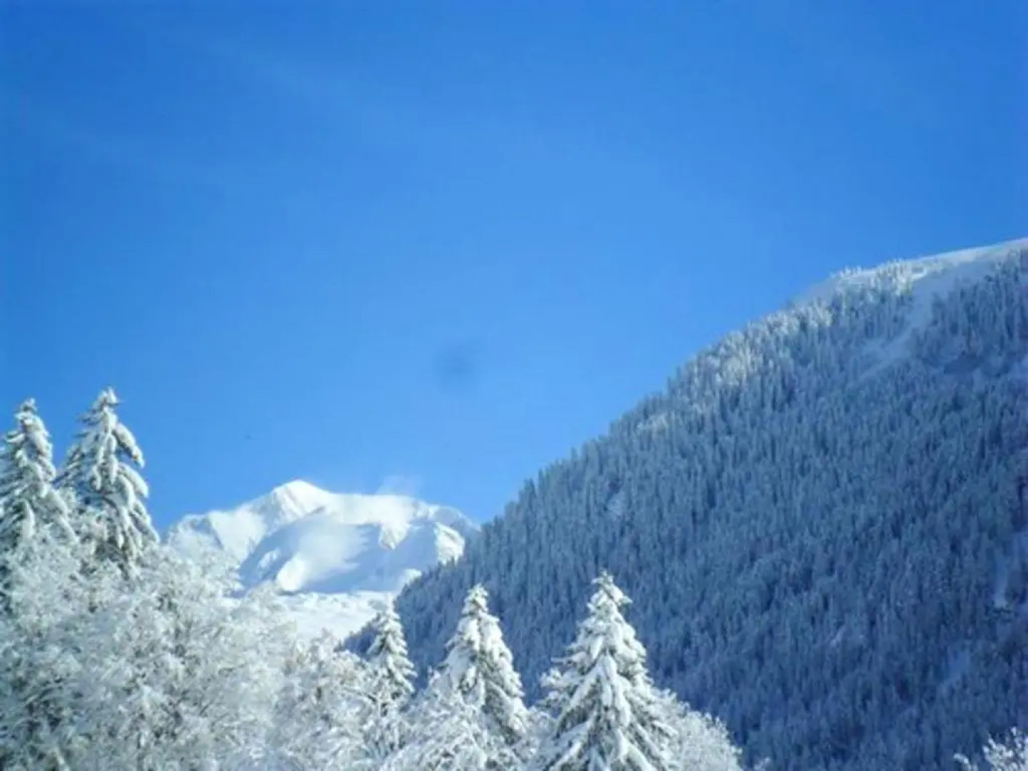 Appartement de 2 chambres a Hauteluce a 800 m des pistes avec jardin amenage et wifi
