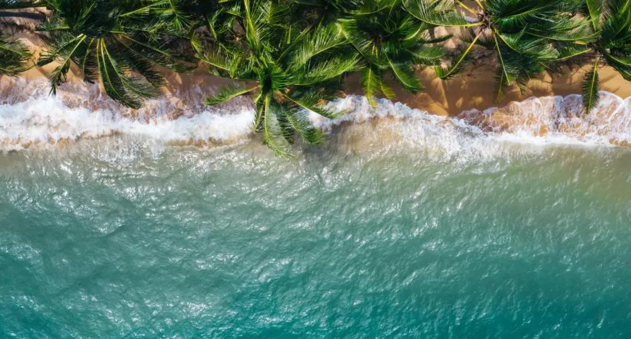 Boutique Hotel Kon Tiki Tahiti