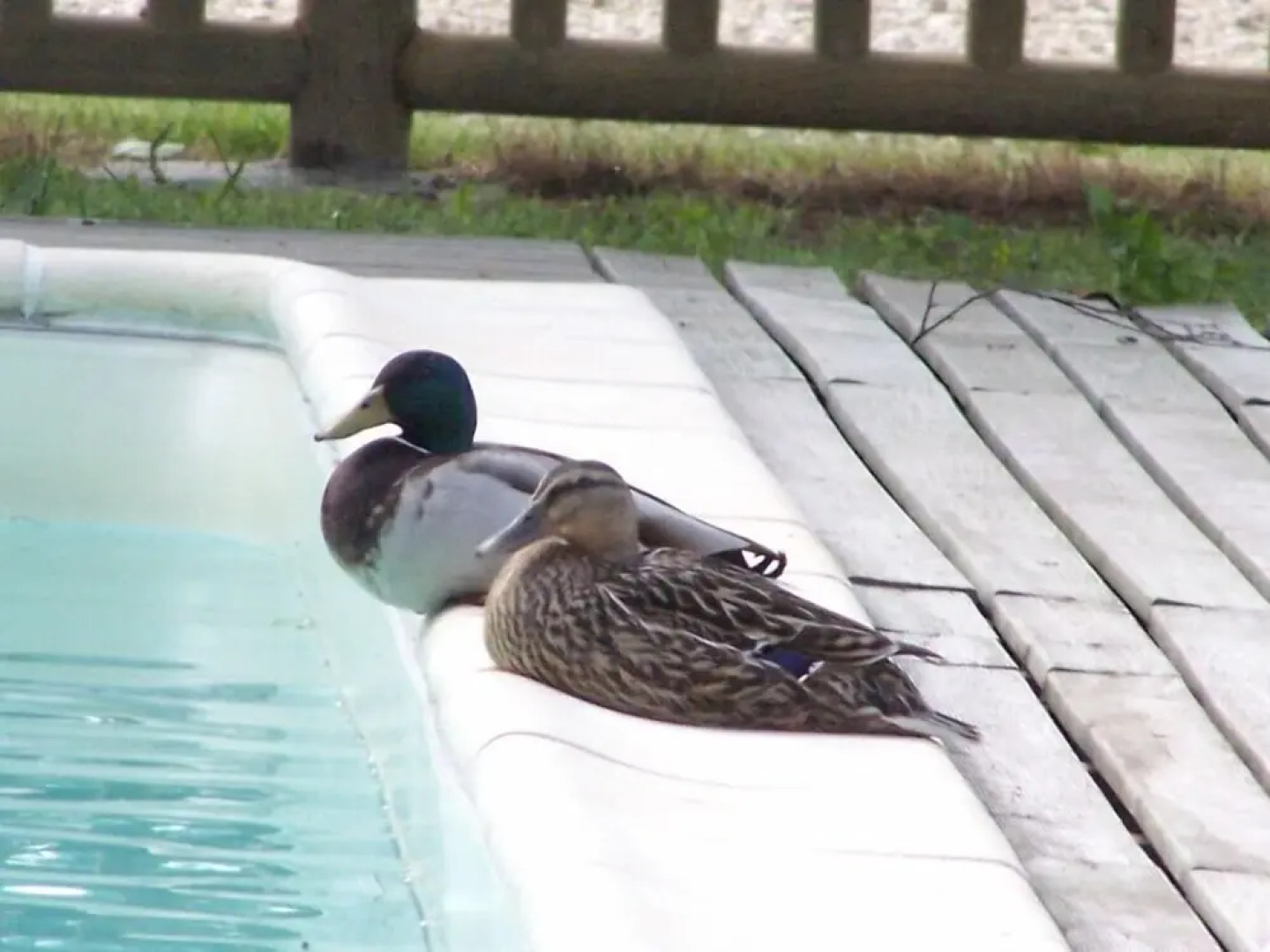 Camping La Ferme de Perdigat