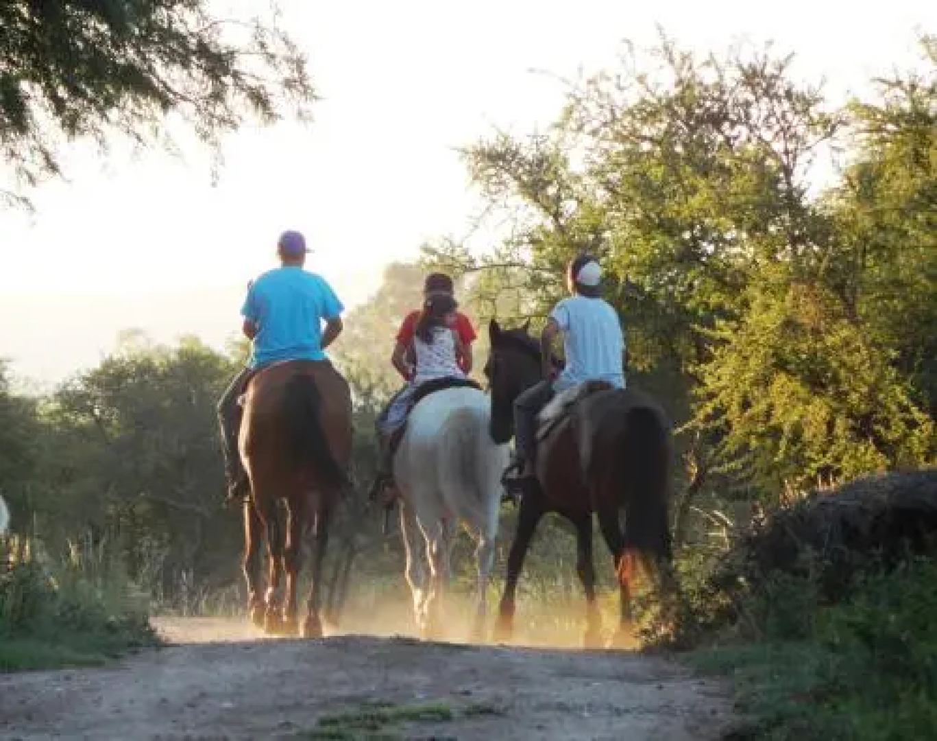 Morada La Silvestre Cabanas