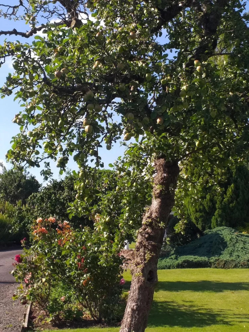 The White House Guest House