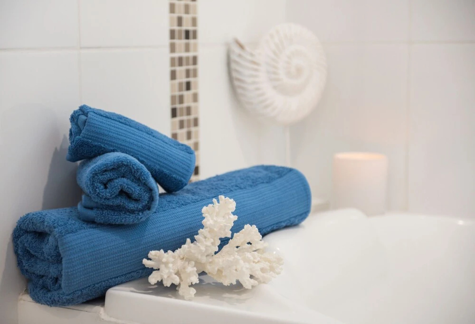 Nautilus On The Hill