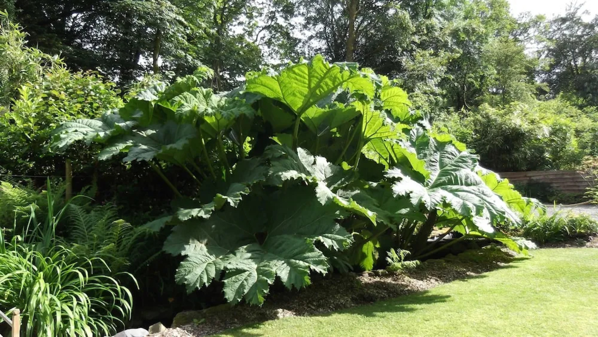 Lyndhurst Guest House