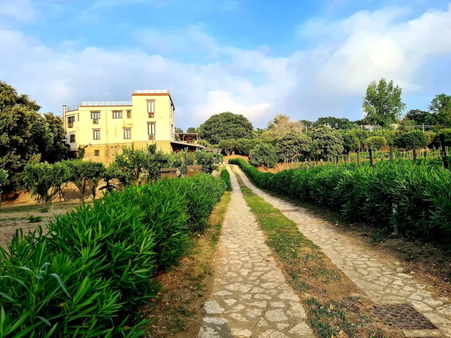 Tenuta Convivium Cuma