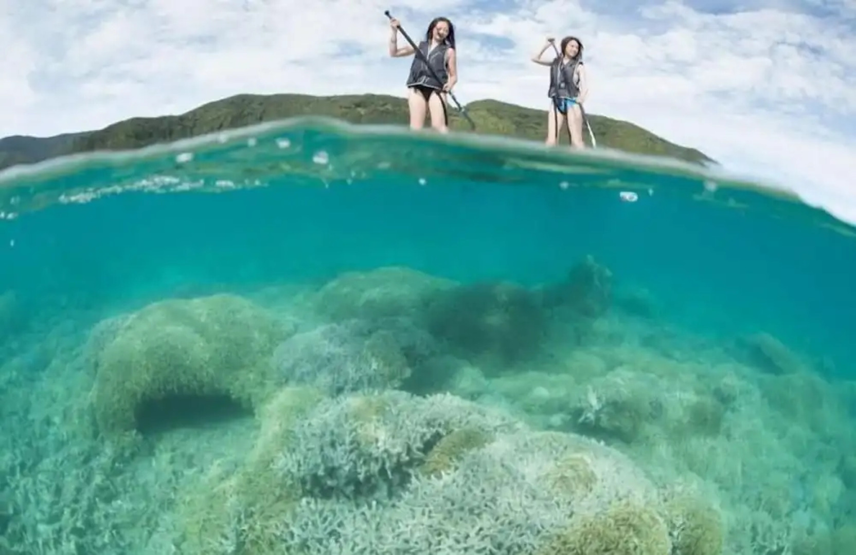 Zerogravity koniya clubhouse