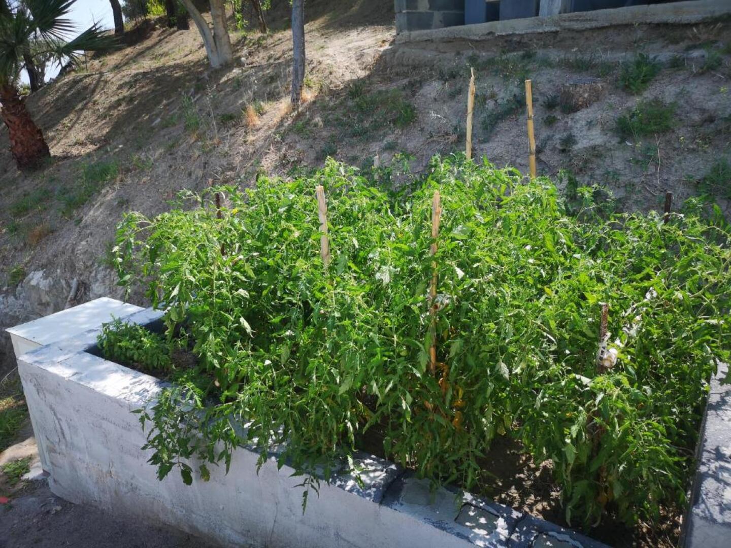 Villa Niccolò with stunning sea view swimming pool