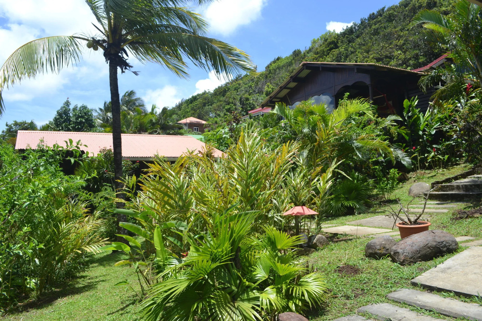 Piton Bungalows Ecolodges