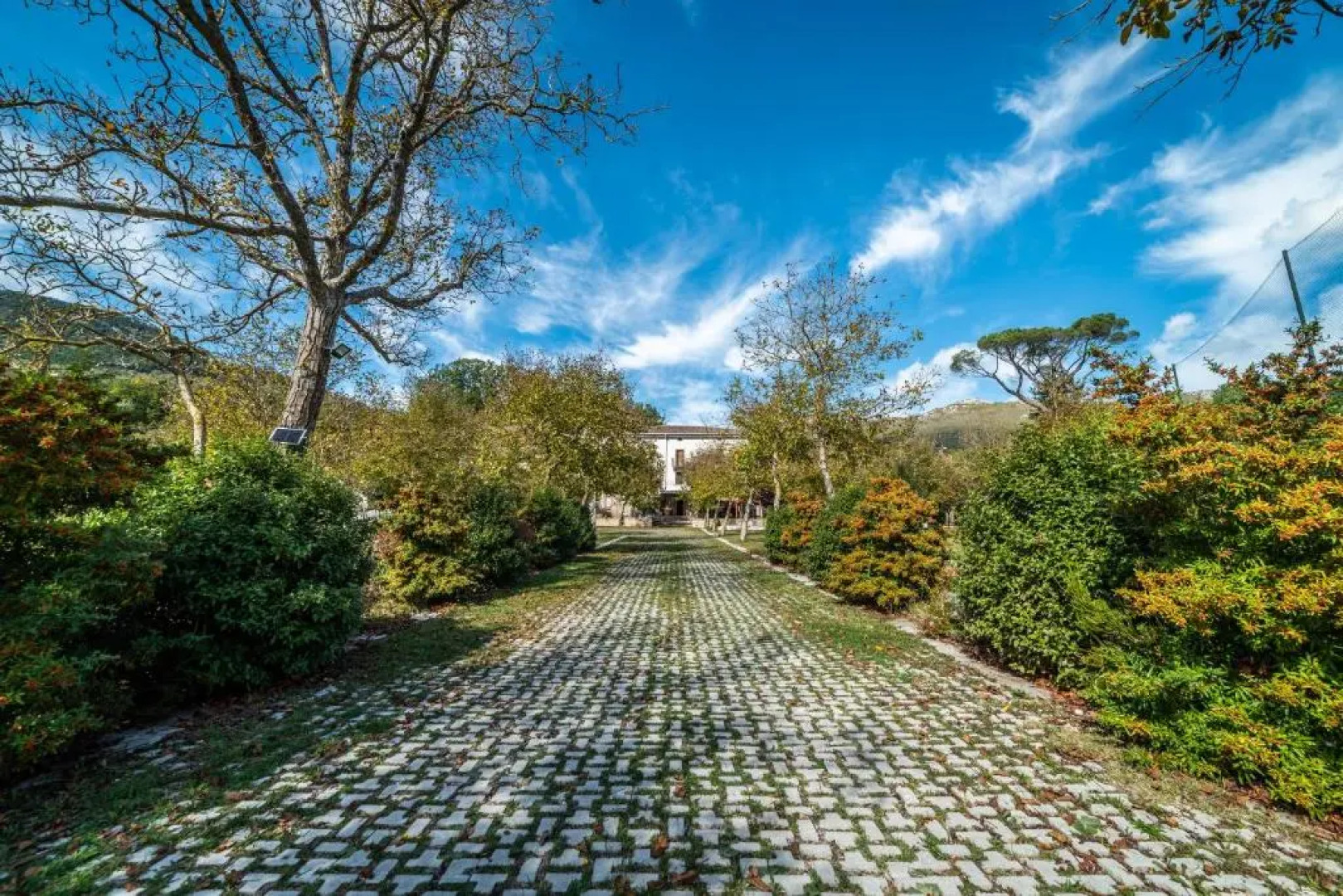 Palazzo de' Farrocco