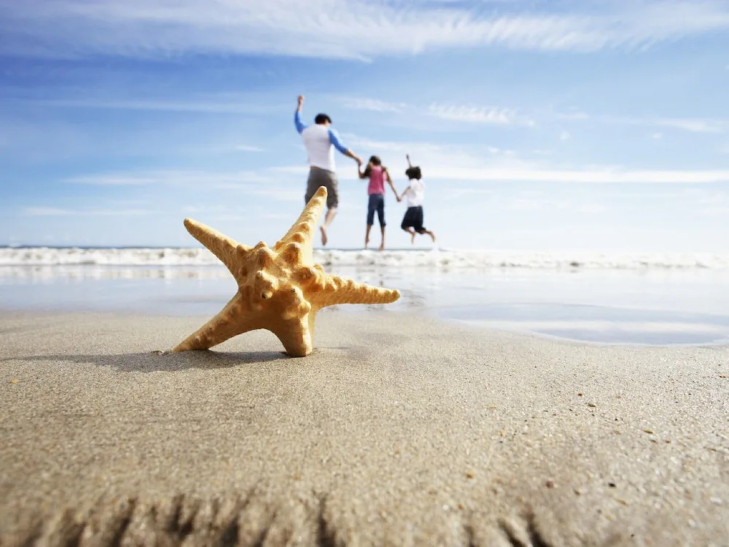 Modern Apartment in Tenby With Swimming Pool