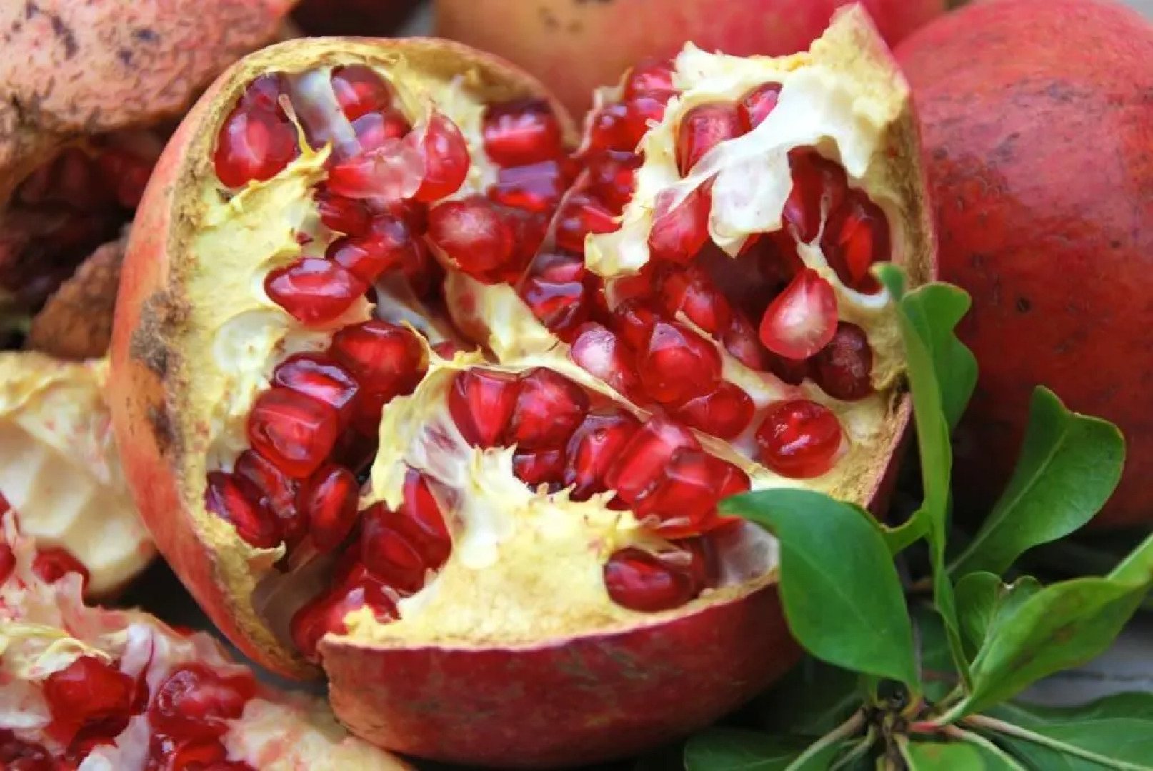 Vavla Rustic Retreat