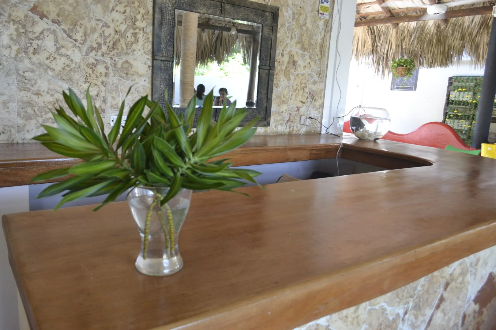 Guesthouse Caribe Punta Cana