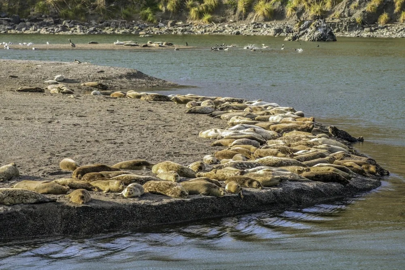 21562 Heron Drive Home 3 Bedrooms 2 Bathrooms Home