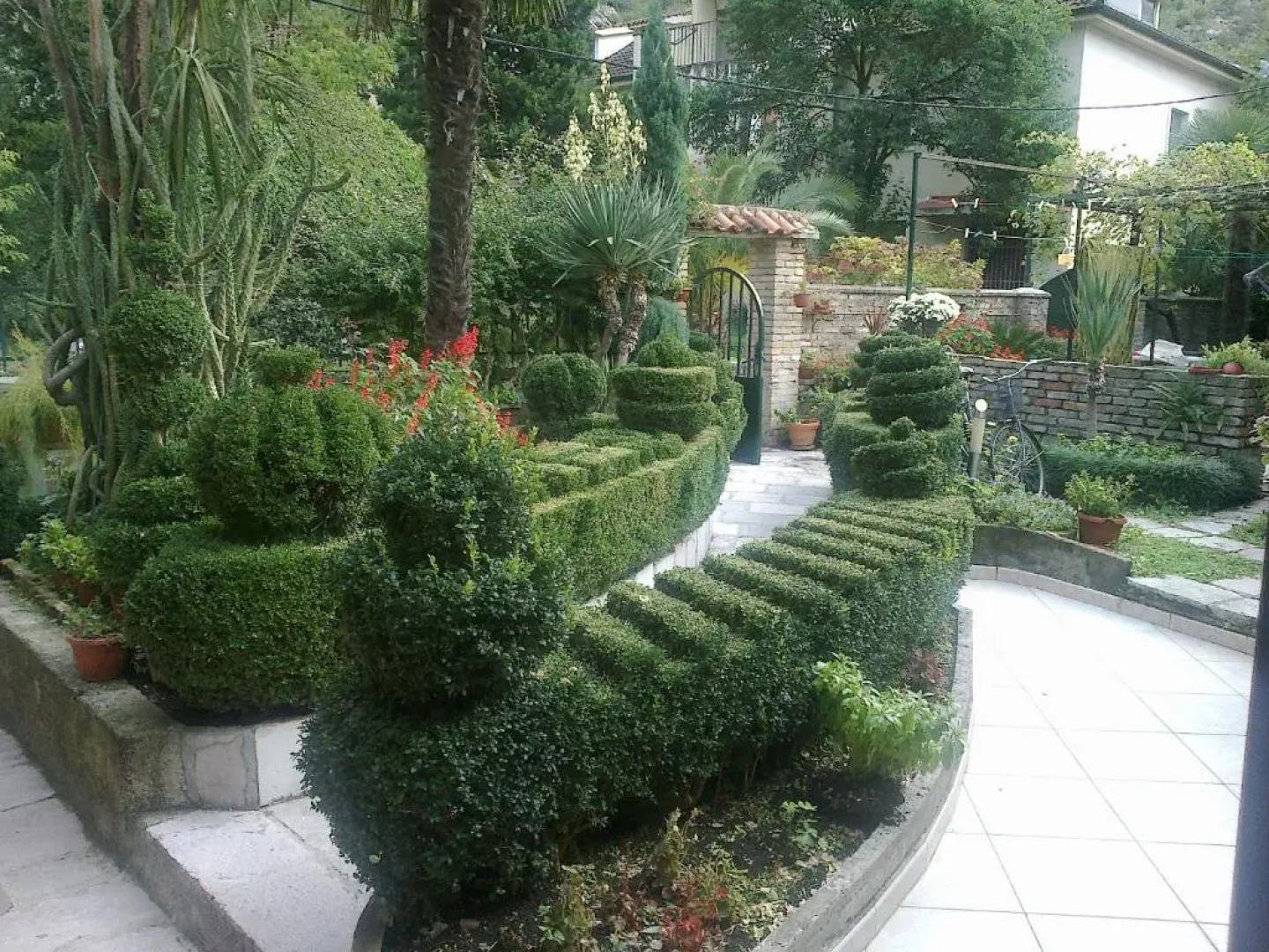 Apartment City Garden