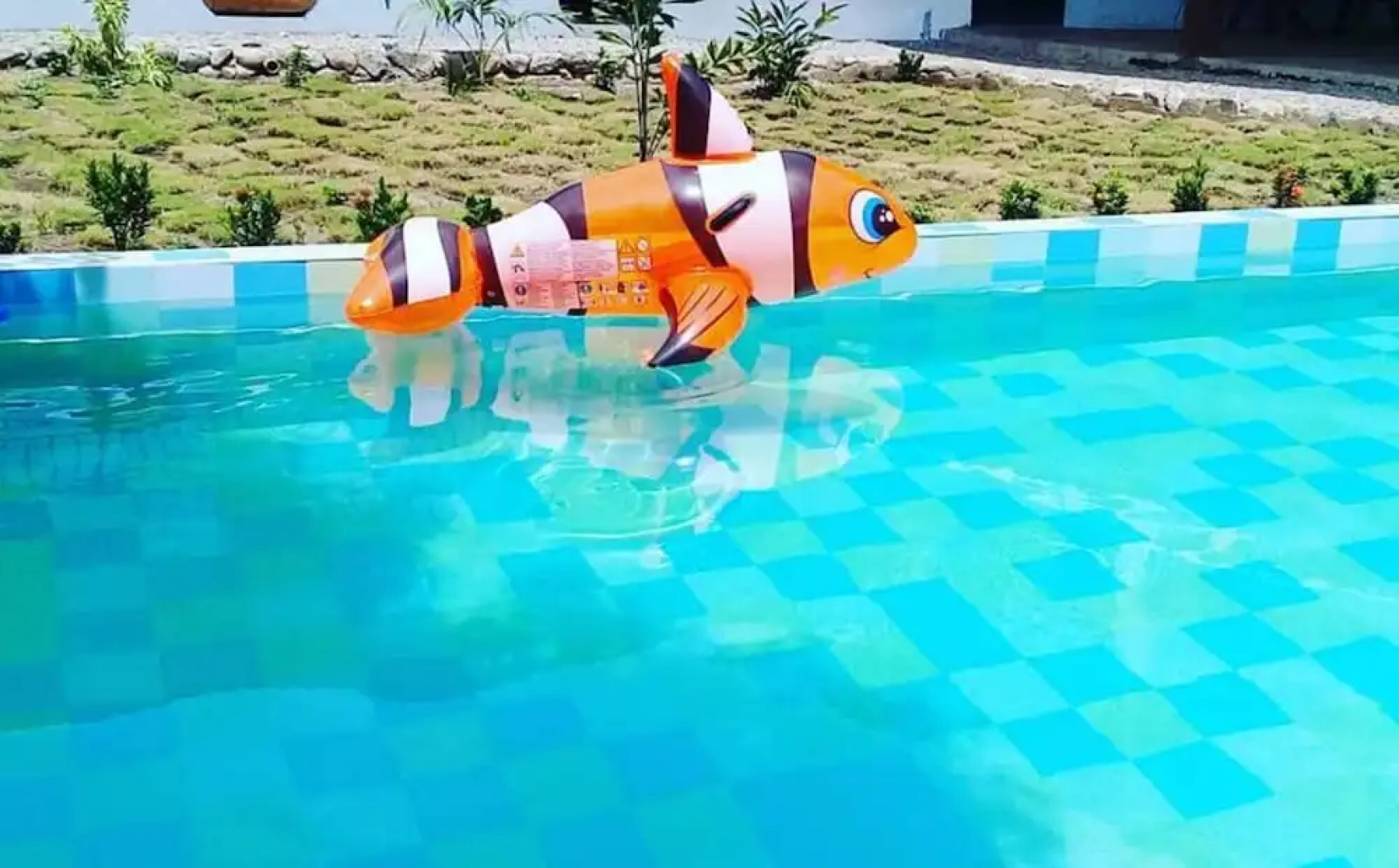 Palomino Hostel by T2L