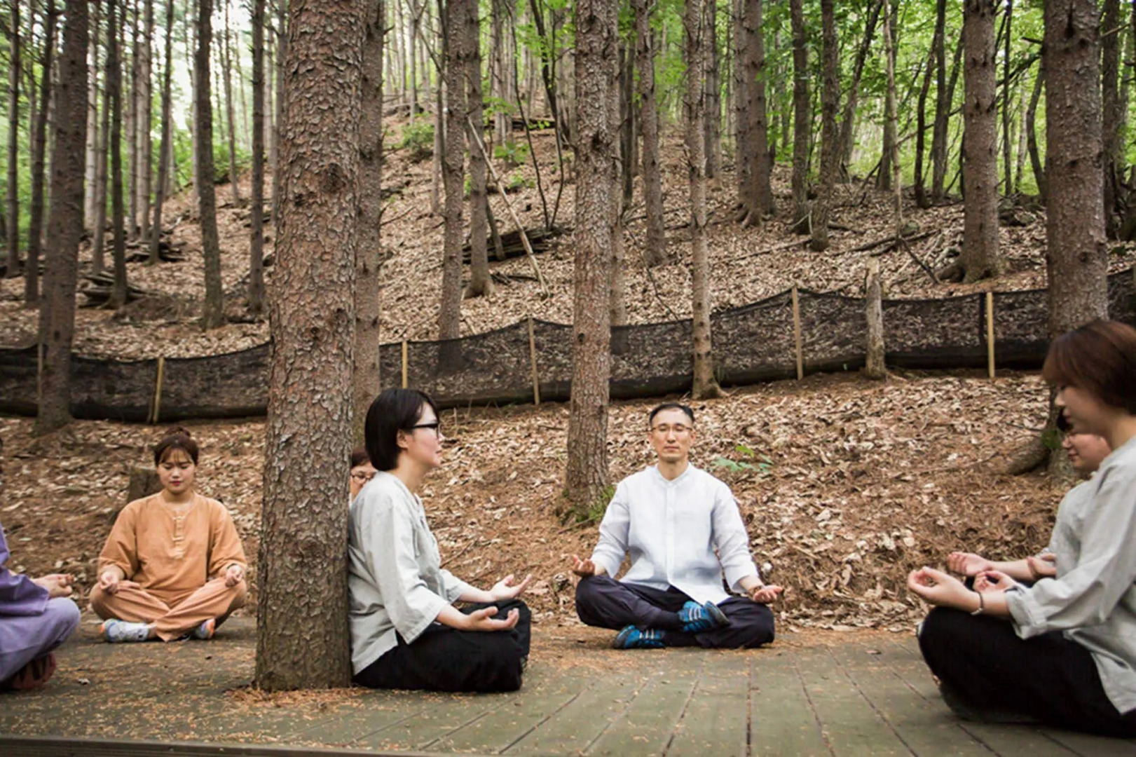 Healience Seon Maeul Healing Resort