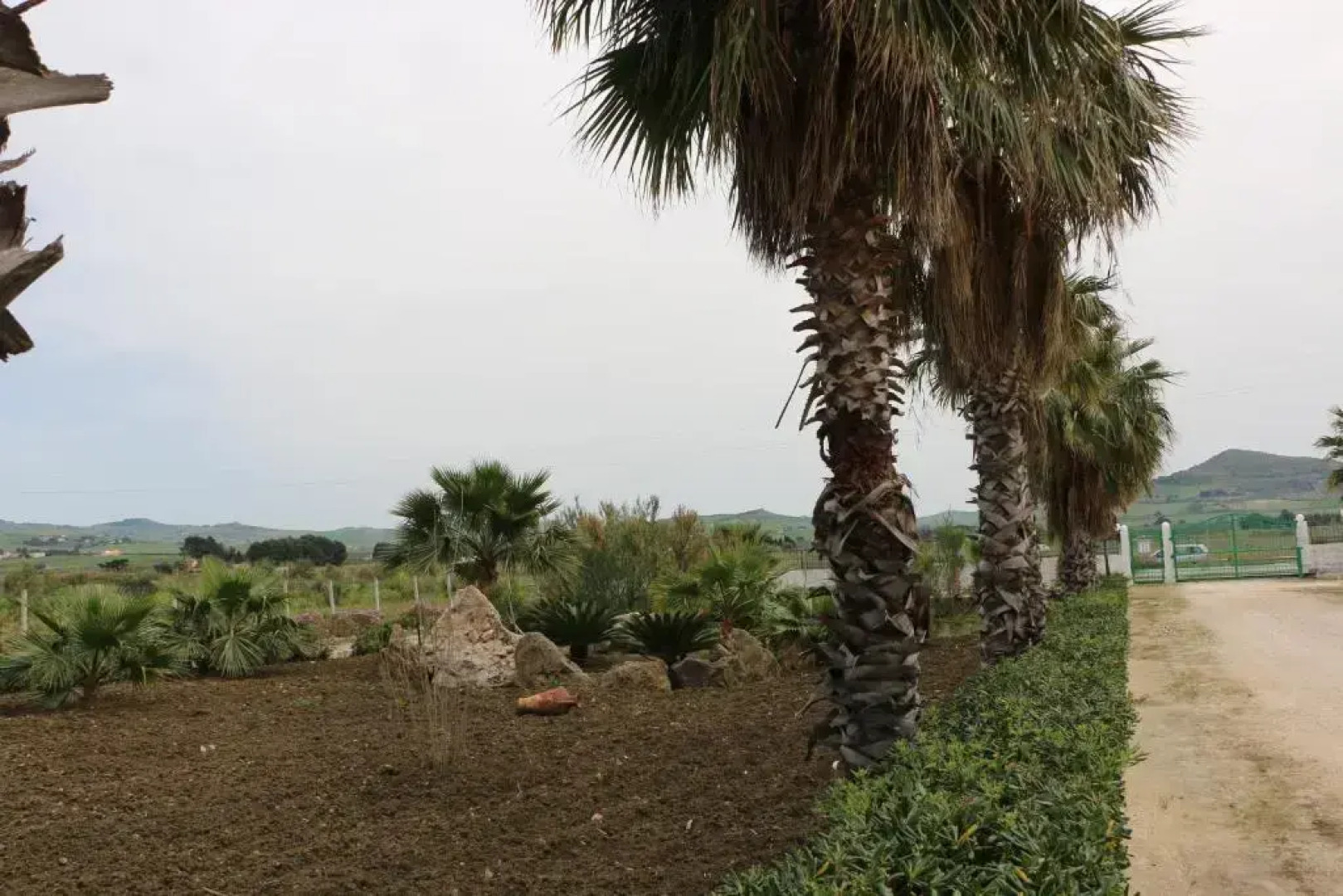 Villa Delle Palme Delfina