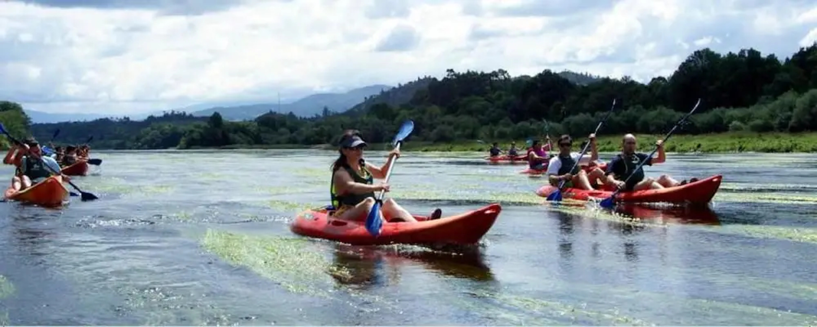 Apartment With 2 Bedrooms in Fão, With Terrace