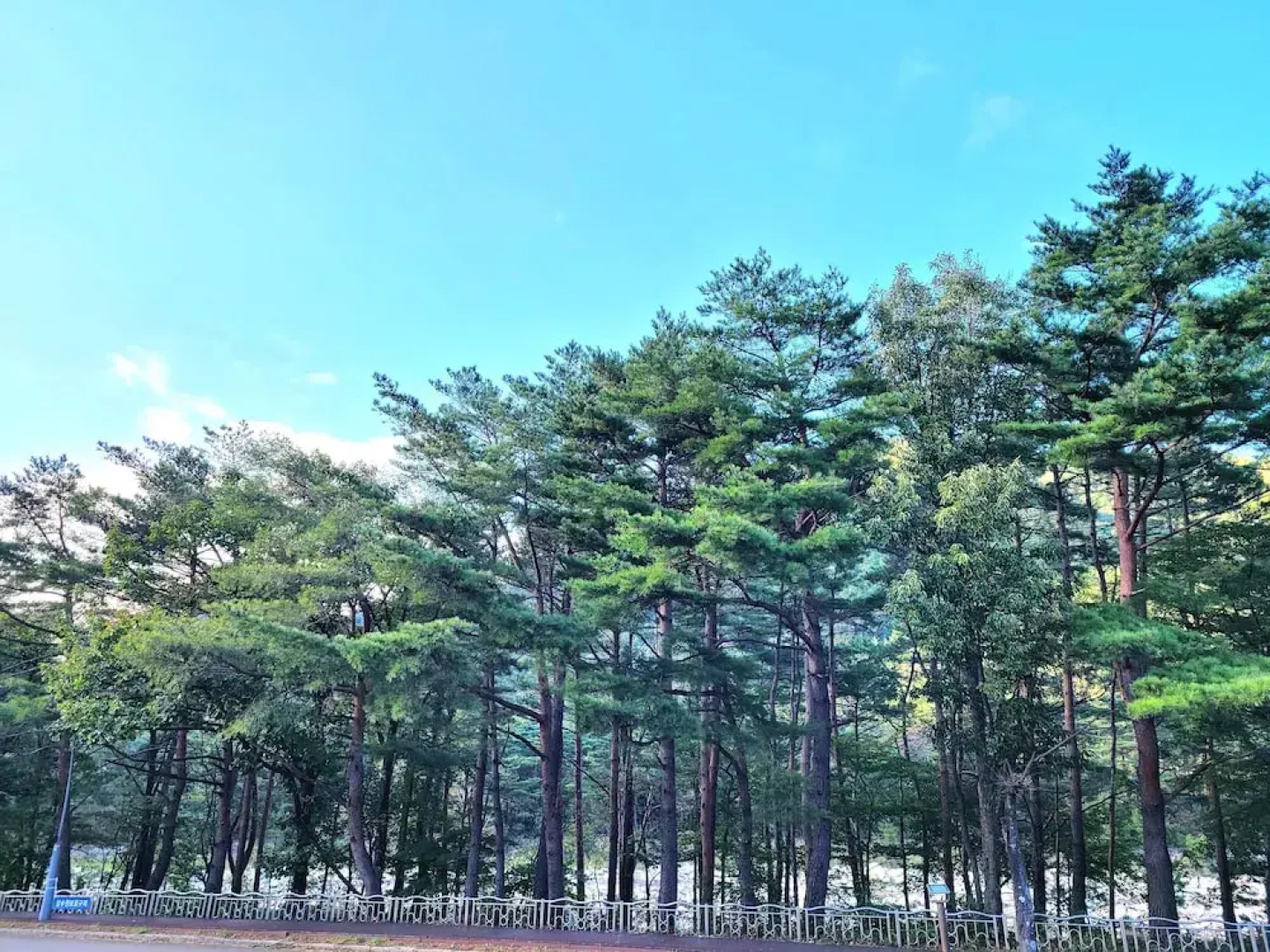 Mt Seorak the East Sea and Hot spring