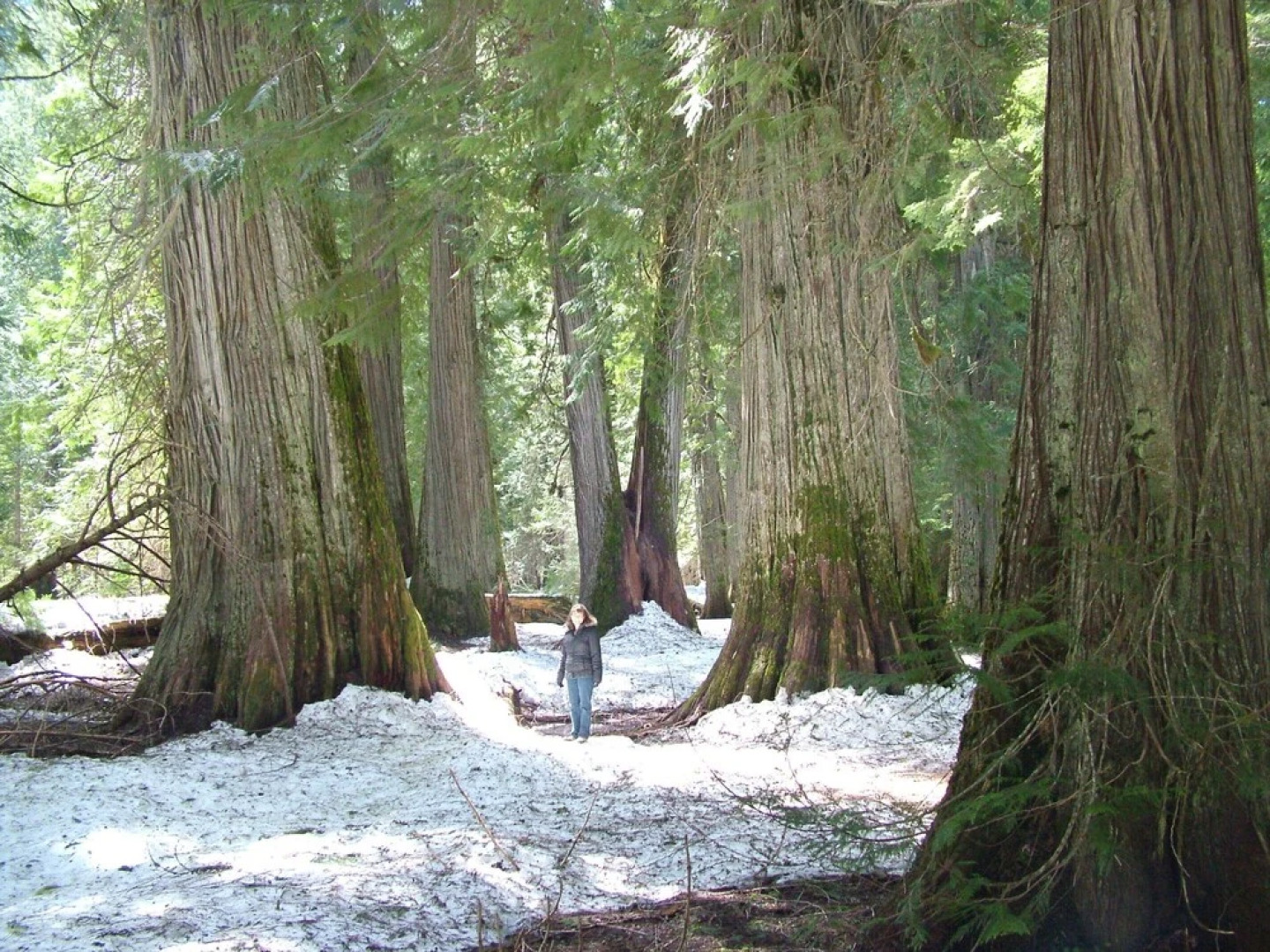 The Lodge at Trout Creek