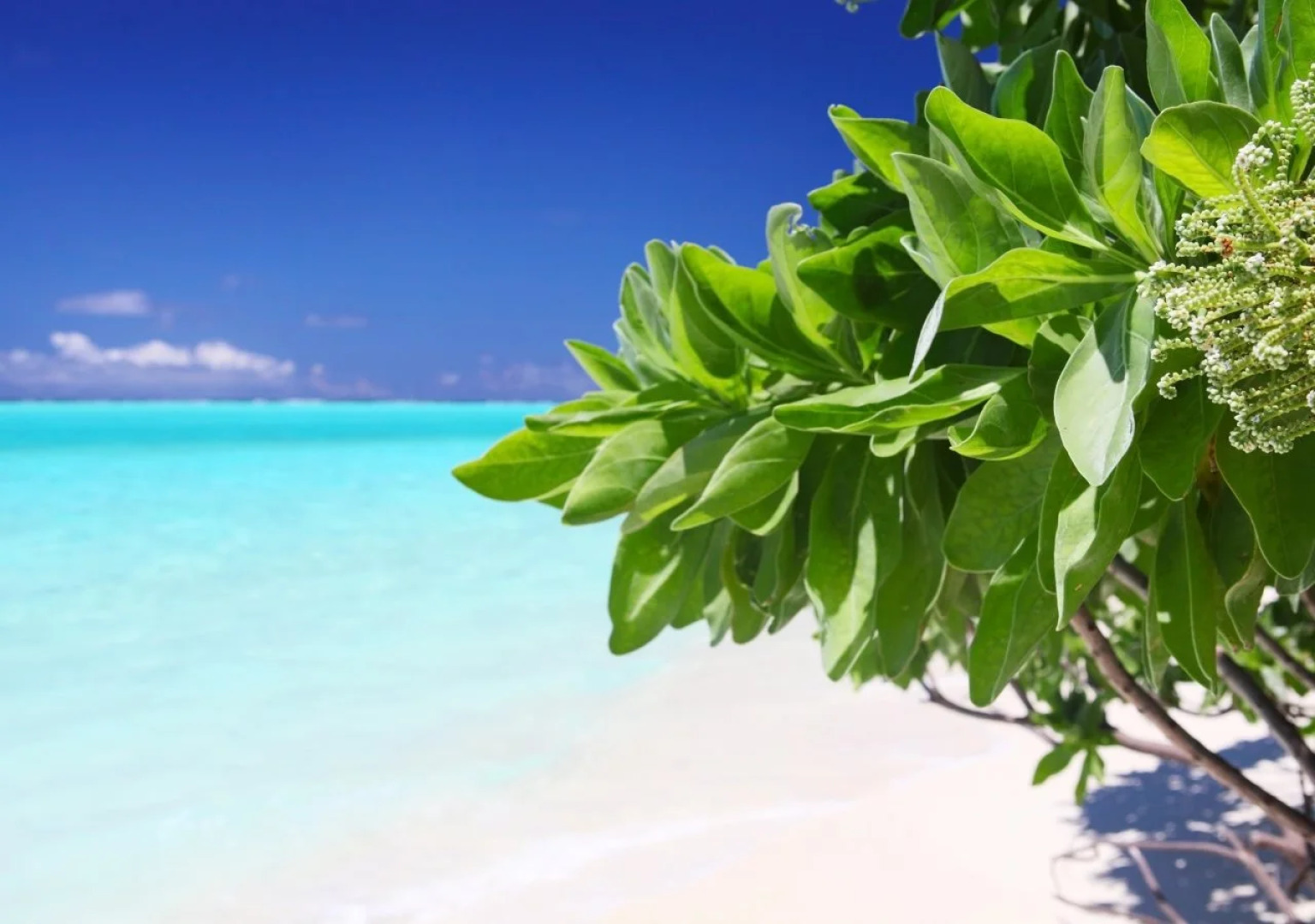 Holiday Cottage Thoddoo