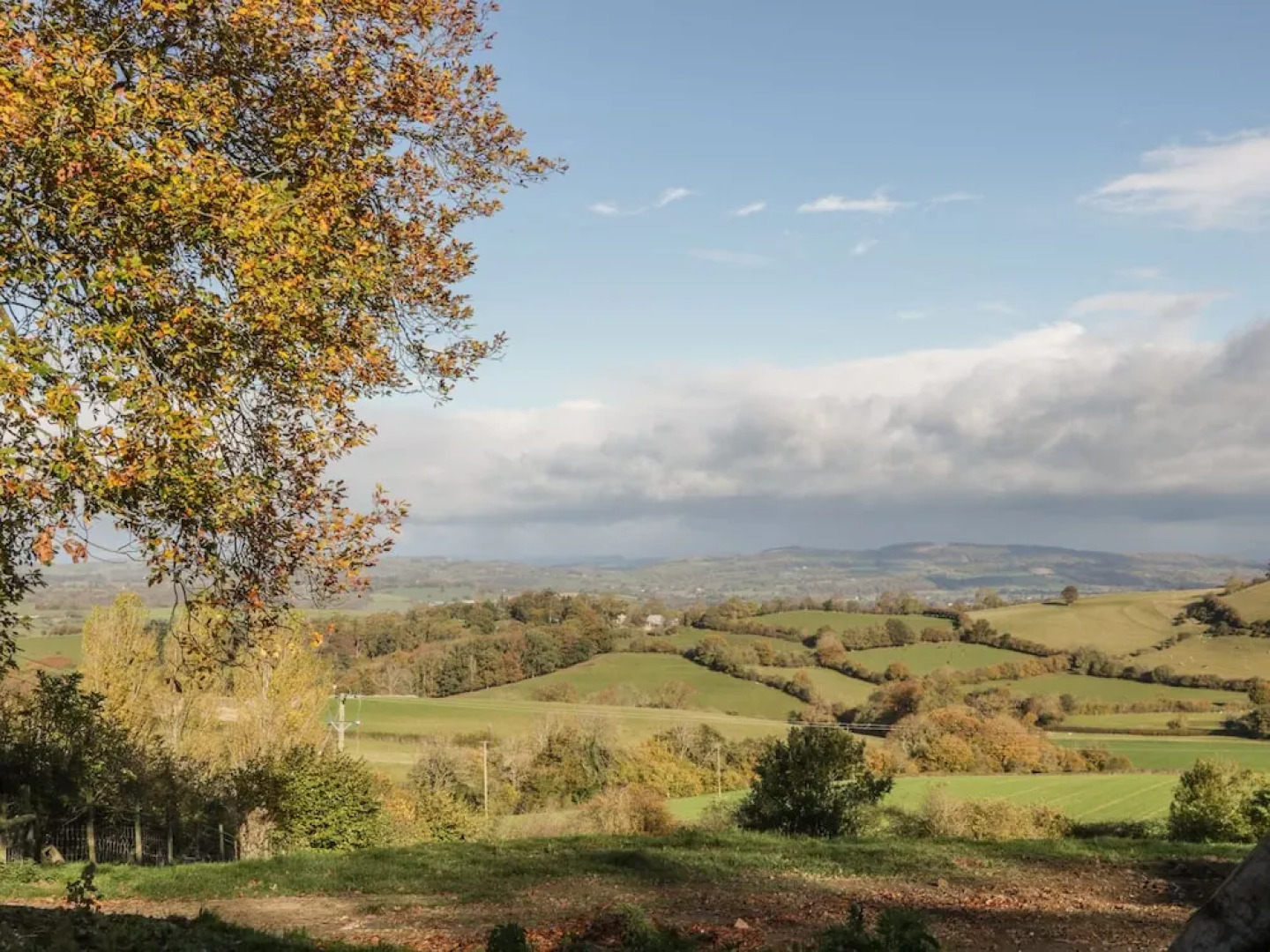 Whitehall Dairy, Montgomery