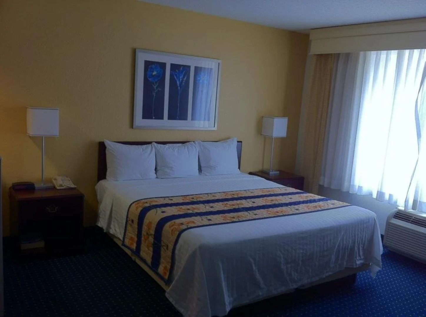 Studios & Suites 4 Less Gum Road