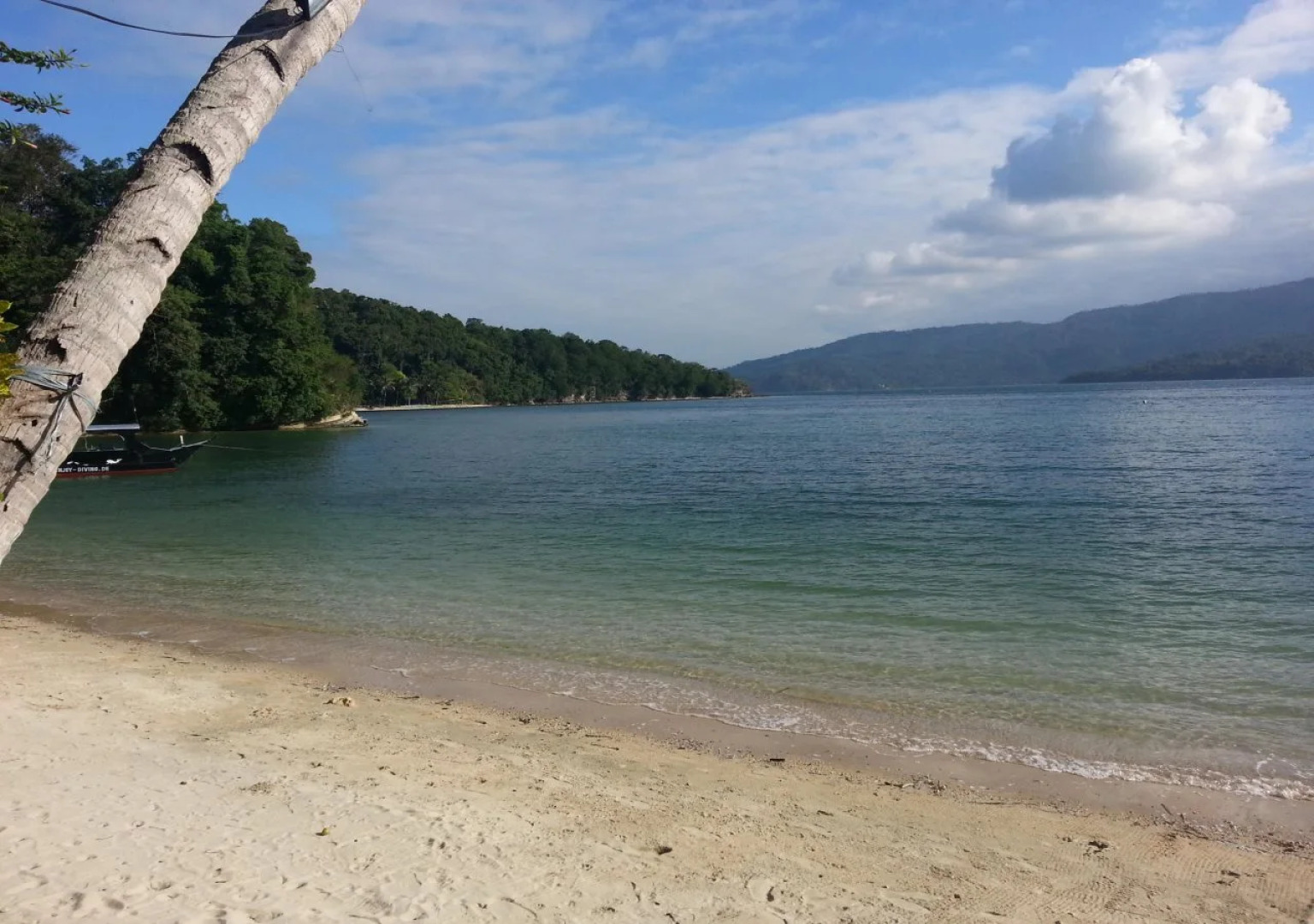 Dolphinbay Beachfront & Dive Resort