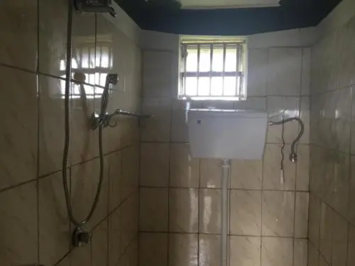 Ecomarvels Gorilla Resort