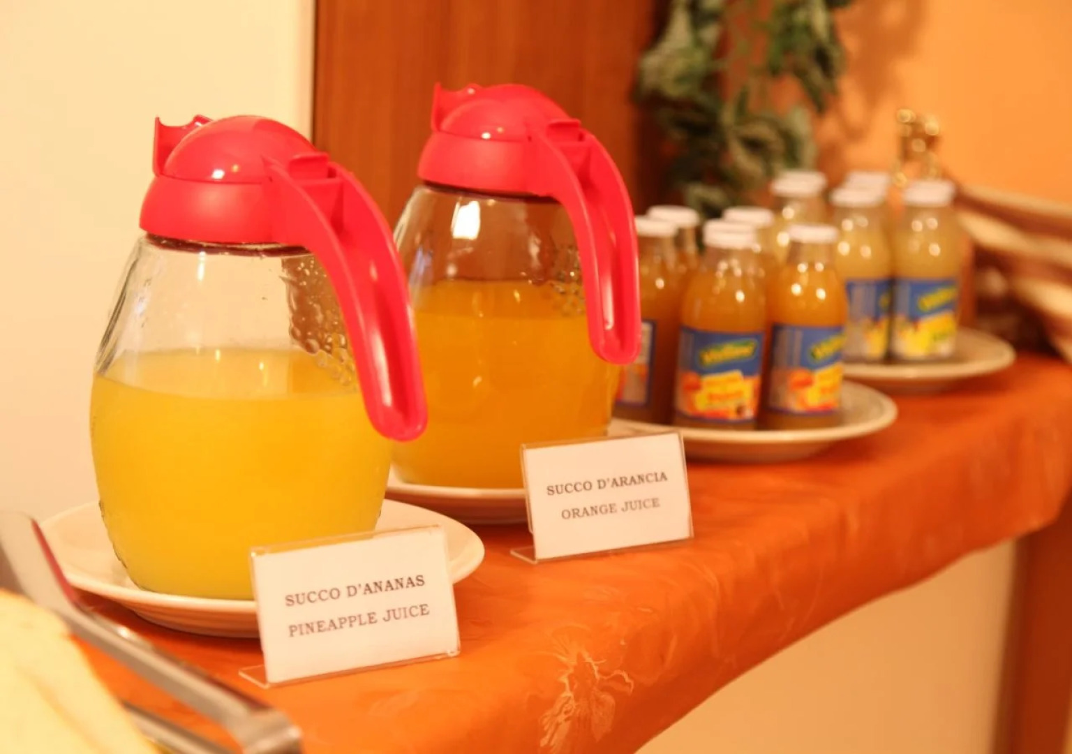 B&B Villa Casablanca