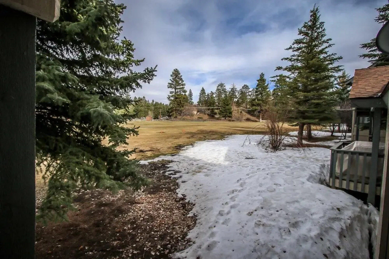 Sunny Side Up 1343 by RedAwning