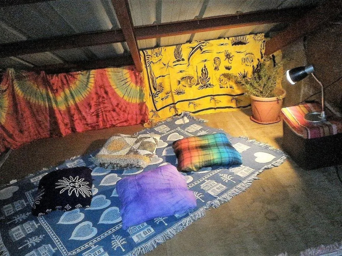 Tribuhaus Backpackers Inn