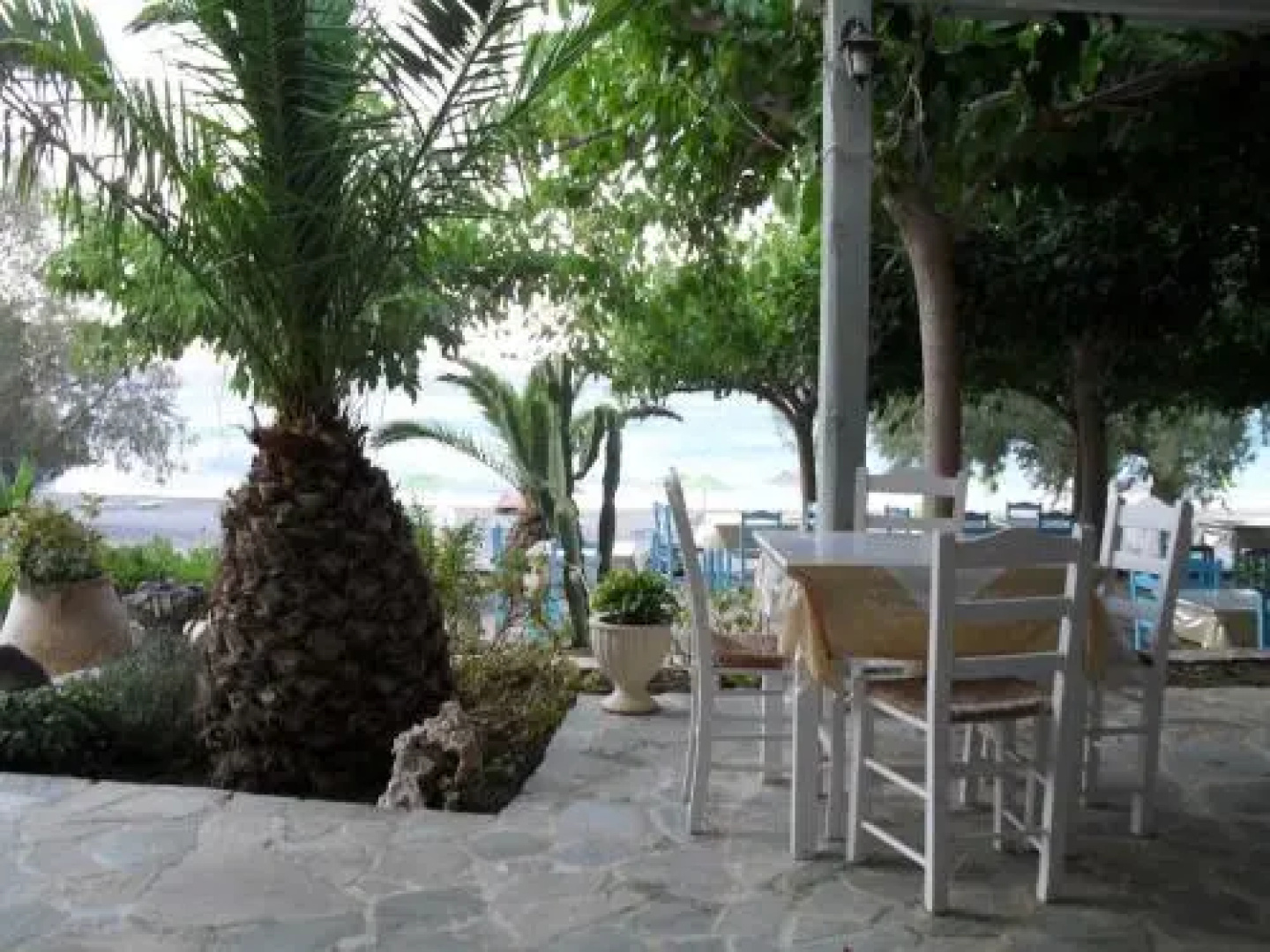 V&C Paradise