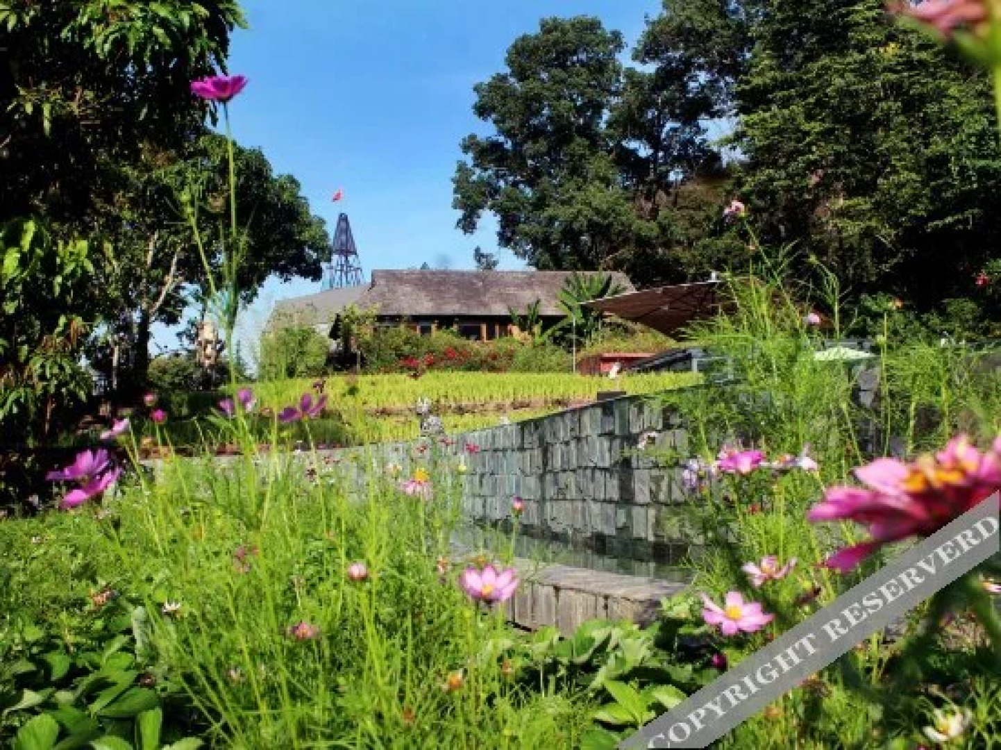 Mijing Wazhai Rice Field Manor